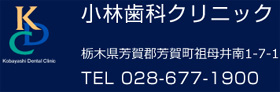 予防歯科 インプラント 健康歯科 矯正歯科 小児歯科 審美歯科